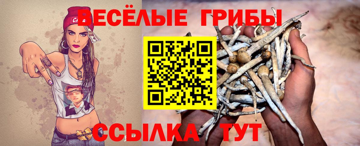 Галлюциногенные грибы мухоморы Тимашёвск