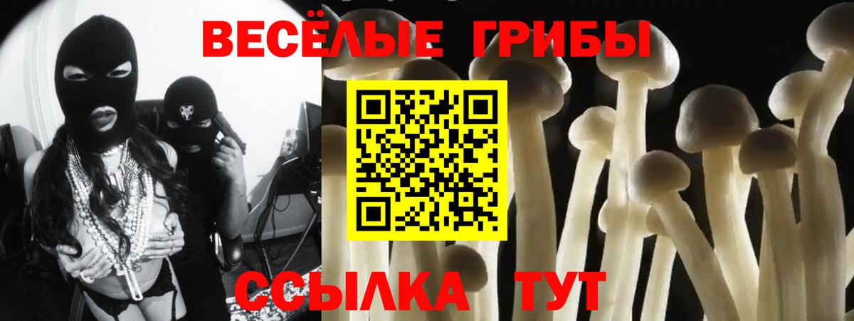 Псилоцибиновые грибы прущие грибы  Вход с VPN  Галлюциногенные грибы Cubensis  Тимашёвск 