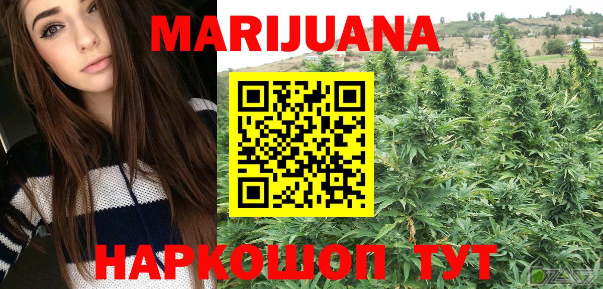 Каннабис конопля Тимашёвск